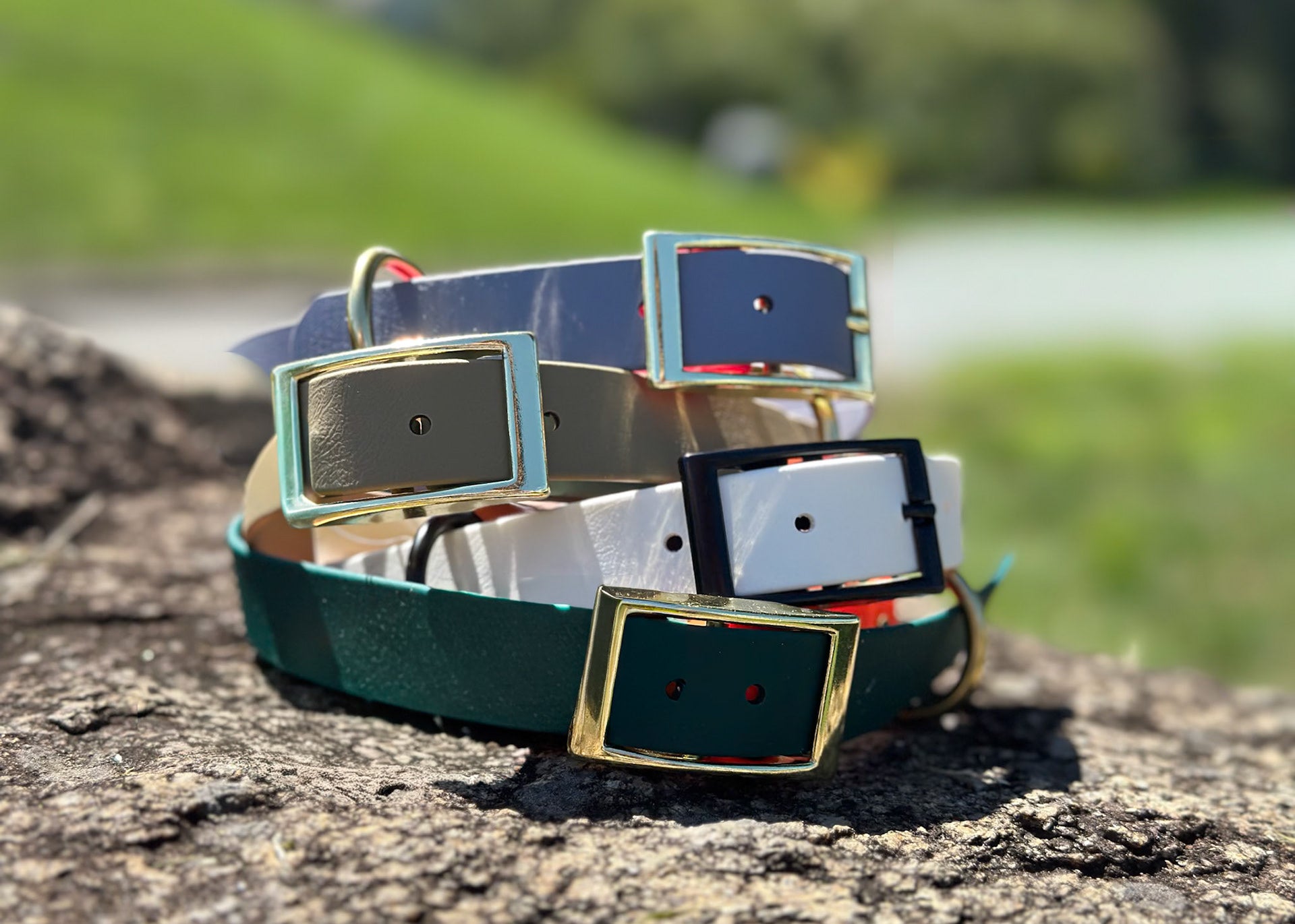 Four different color biothane dog collars with different buckle hardware on a stone surface with a blurred natural background