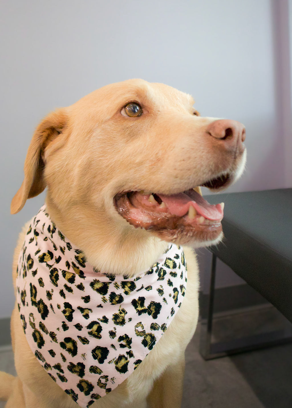 Personalized Pink & Gold Leopard Pattern Dog Bandana