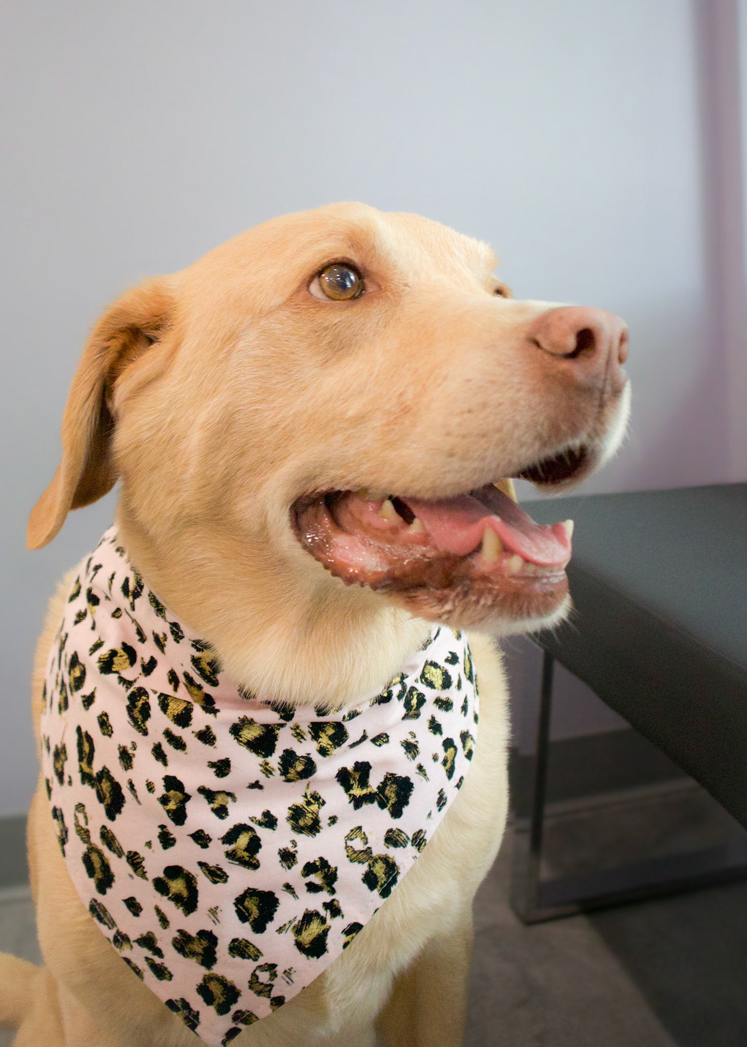 Personalized Pink & Gold Leopard Pattern Dog Bandana