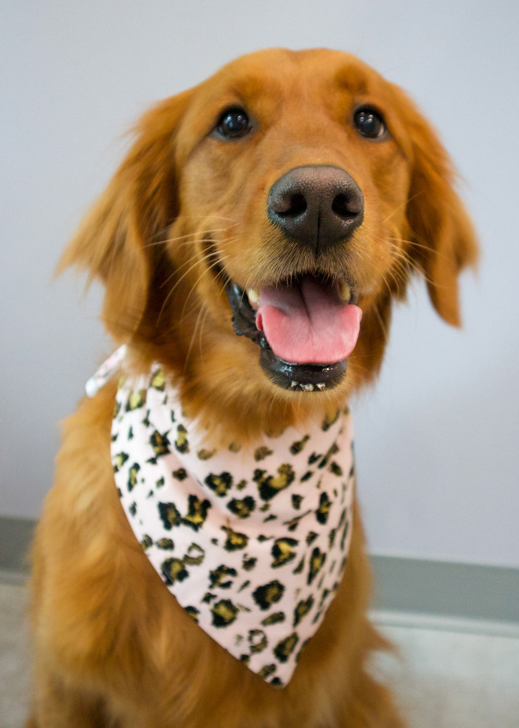 Personalized Pink & Gold Leopard Pattern Dog Bandana