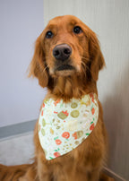 Personalized Apple Orchard Dog Bandana