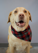Black and Red Tartan Plaid Flannel Dog Bandana