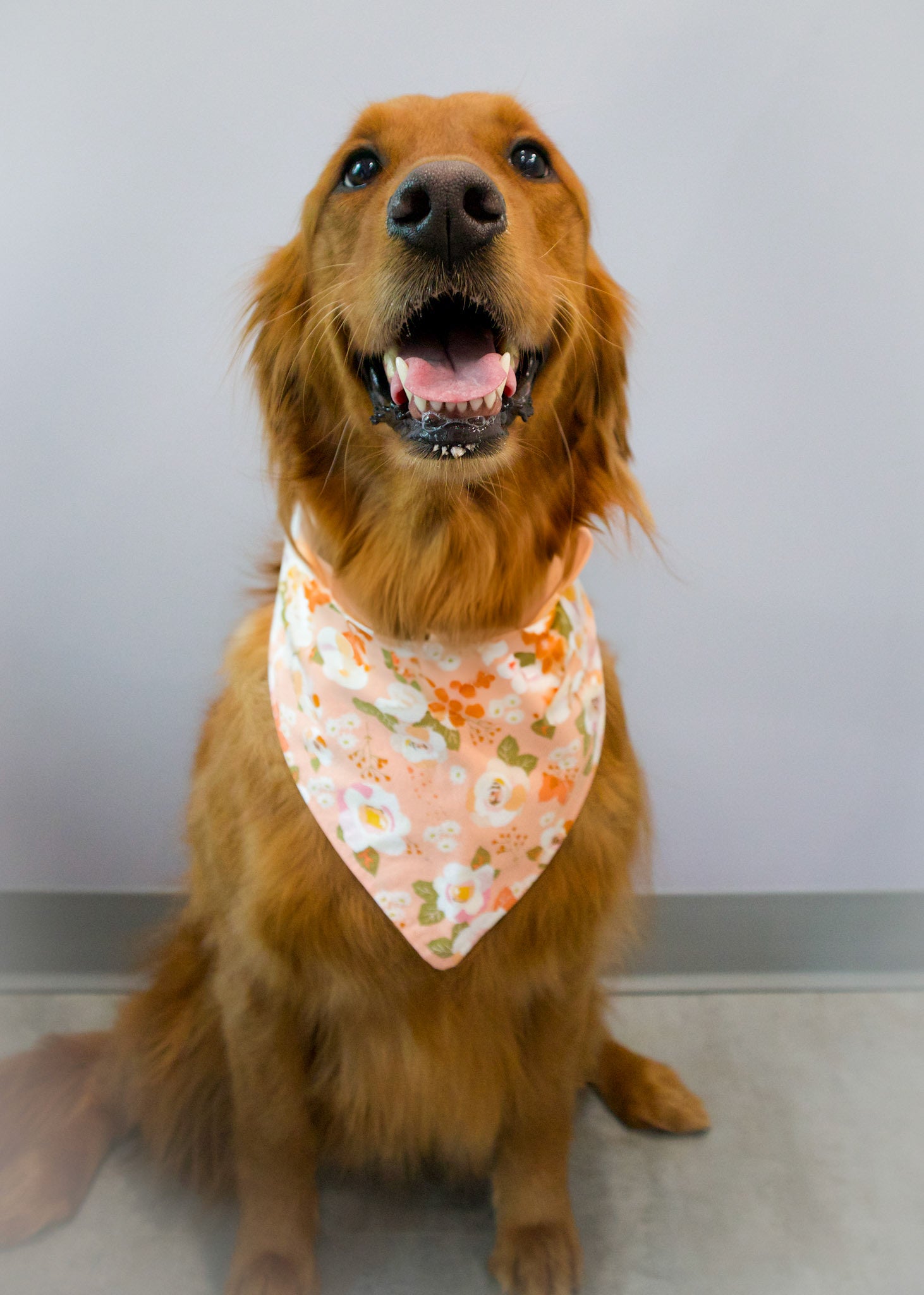 Personalized Pink Blooms Spring Dog Bandana