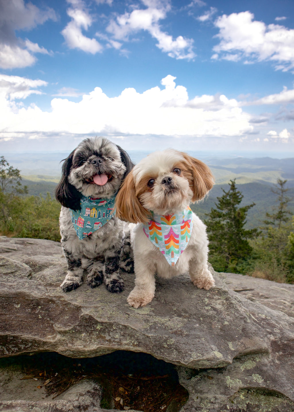 Snowy Town Dog Bandana