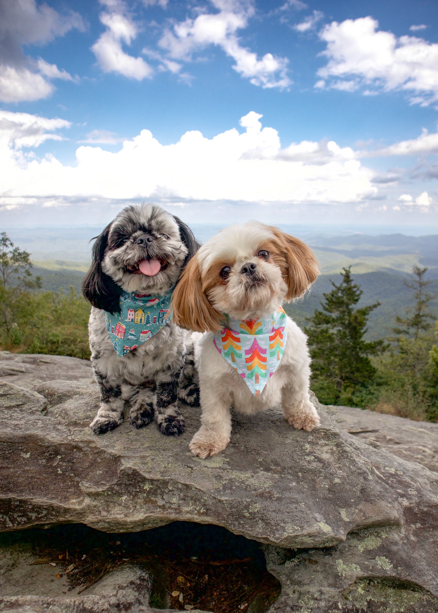 Snowy Town Dog Bandana