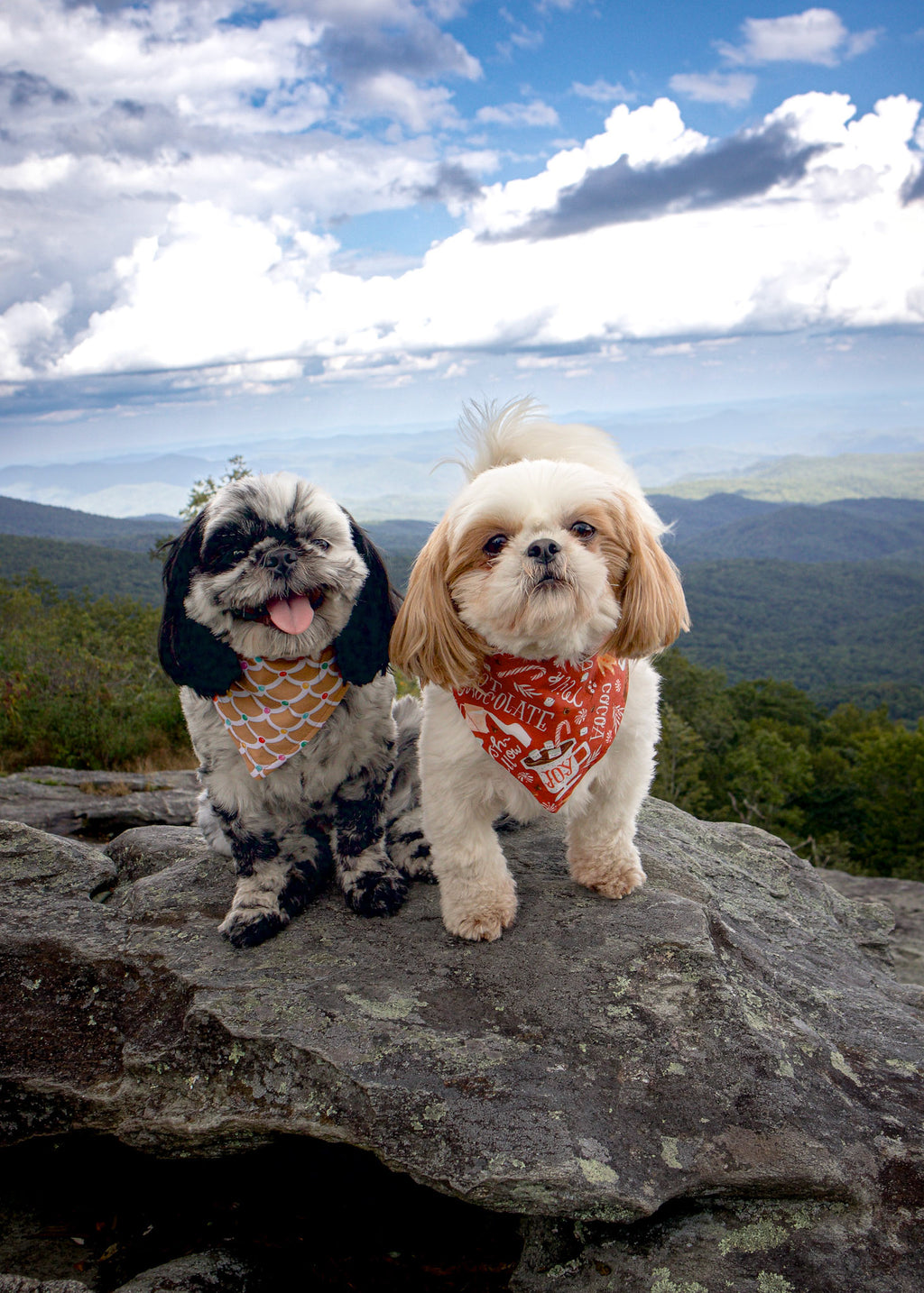 Christmas Hot Chocolate Dog Bandana