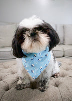 Personalized Gotcha Day Cupcakes Blue Dog Bandana