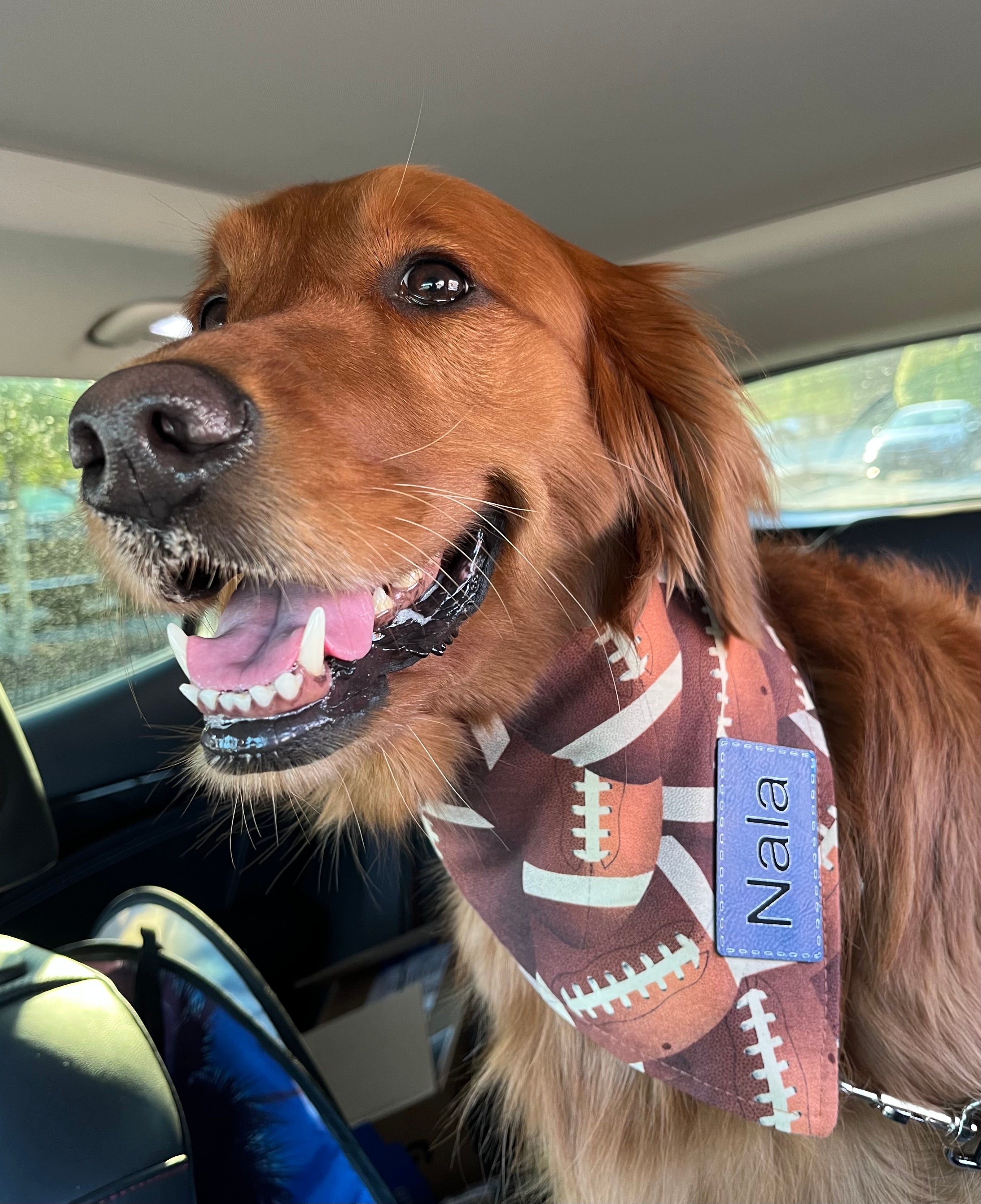 Personalized Football Dog Bandana