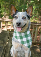Personalized Green Buffalo Check Dog Bandana