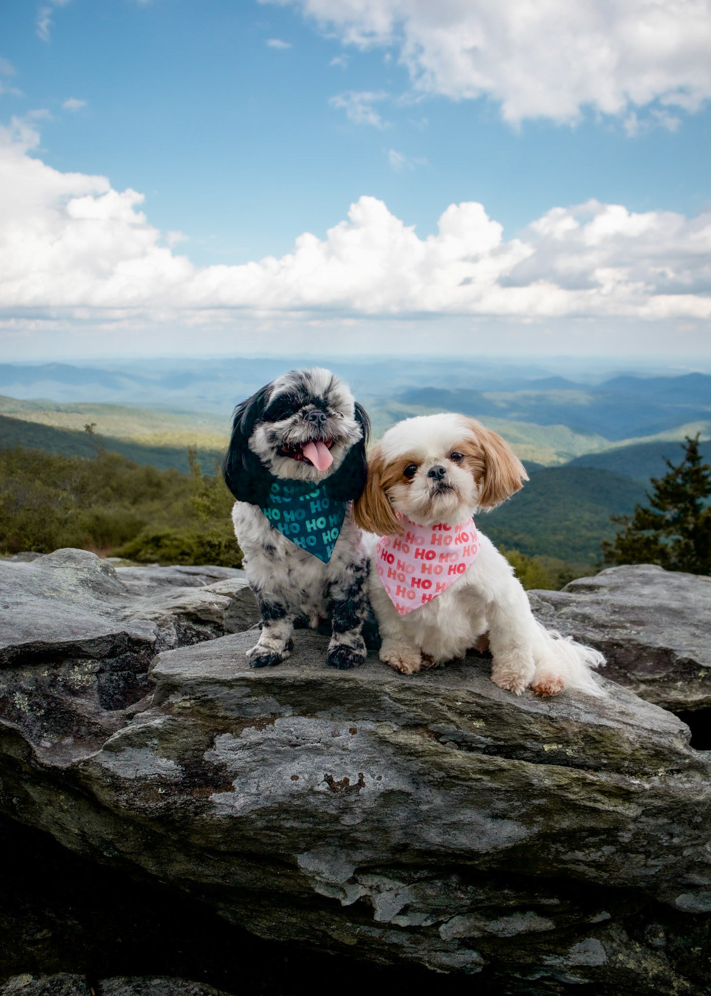 Hohoho Dog Bandana (Pink)