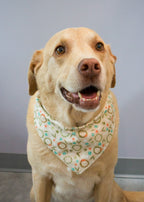 Howl-idays Dog Bandana