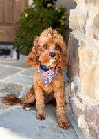 Personalized Jack-O-Lanterns Halloween Dog Bandana