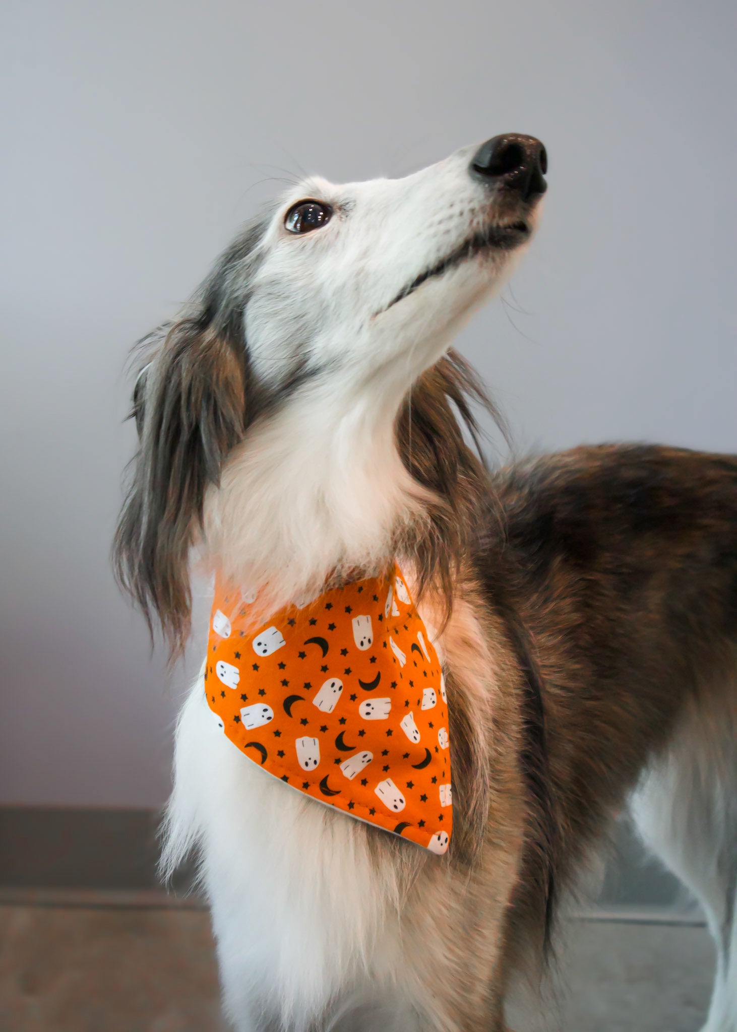 Personalized Orange Ghosts Halloween Dog Bandana