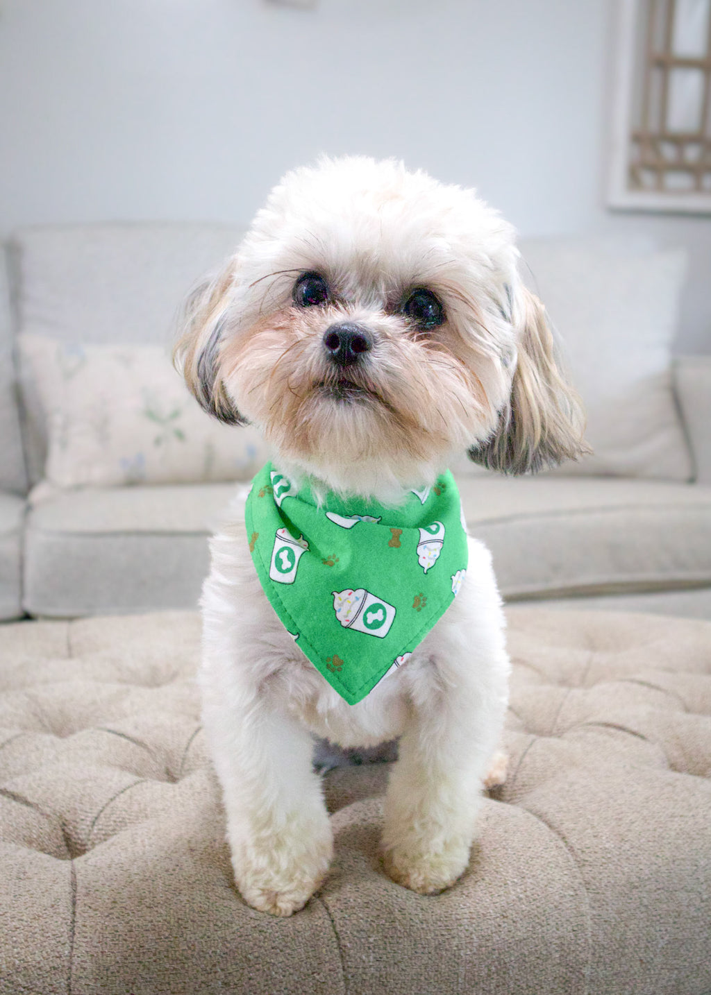 Personalized Pup Cup Dog Bandana