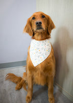 Personalized Heart Tacos Dog Bandana
