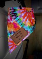 Personalized Rainbow Tie Dye Dog Bandana