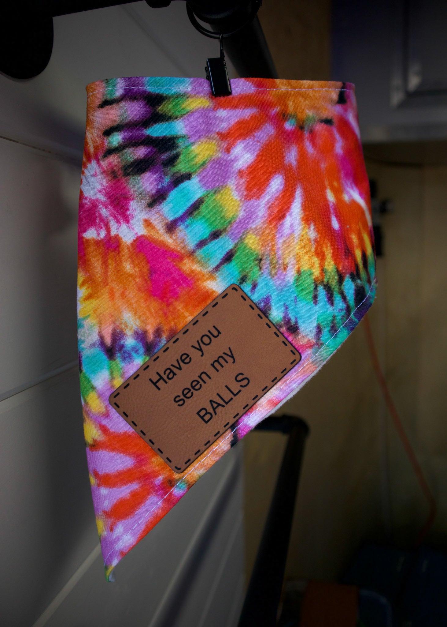 Personalized Rainbow Tie Dye Dog Bandana