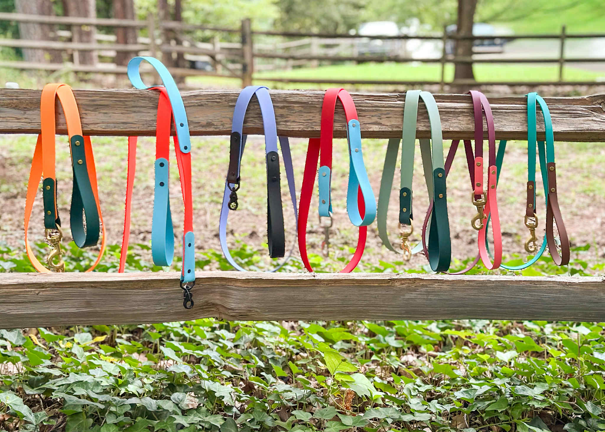 multiple two-color biothane dog leashes hanging from wooden fence