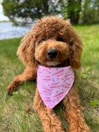 Personalized It's My Barkday! Pink Birthday Dog Bandana