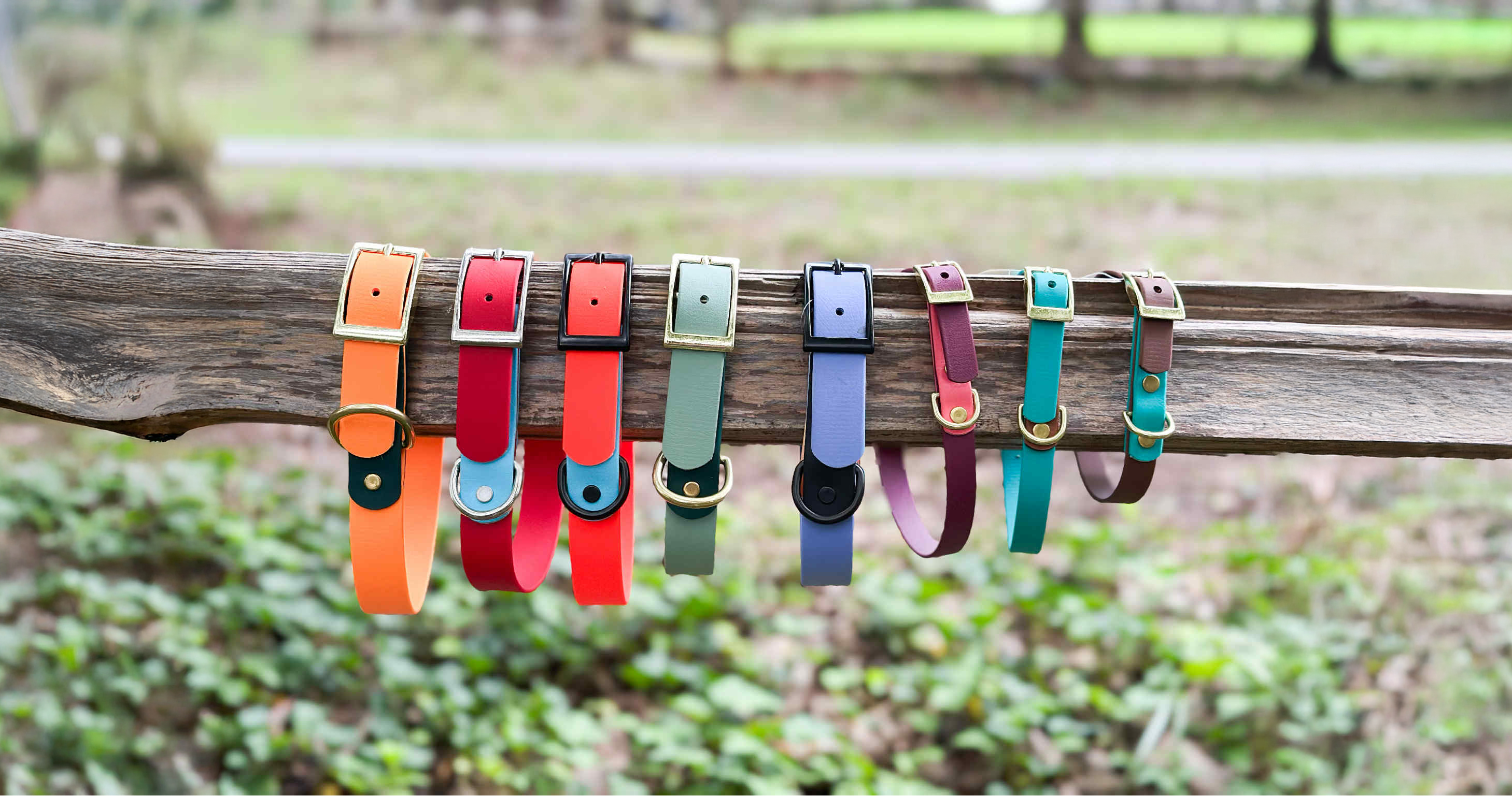 Colorful biothane dog collars hanging on a wooden fence with a natural background
