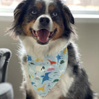 Personalized Blue Dinosaurs Dog Bandana