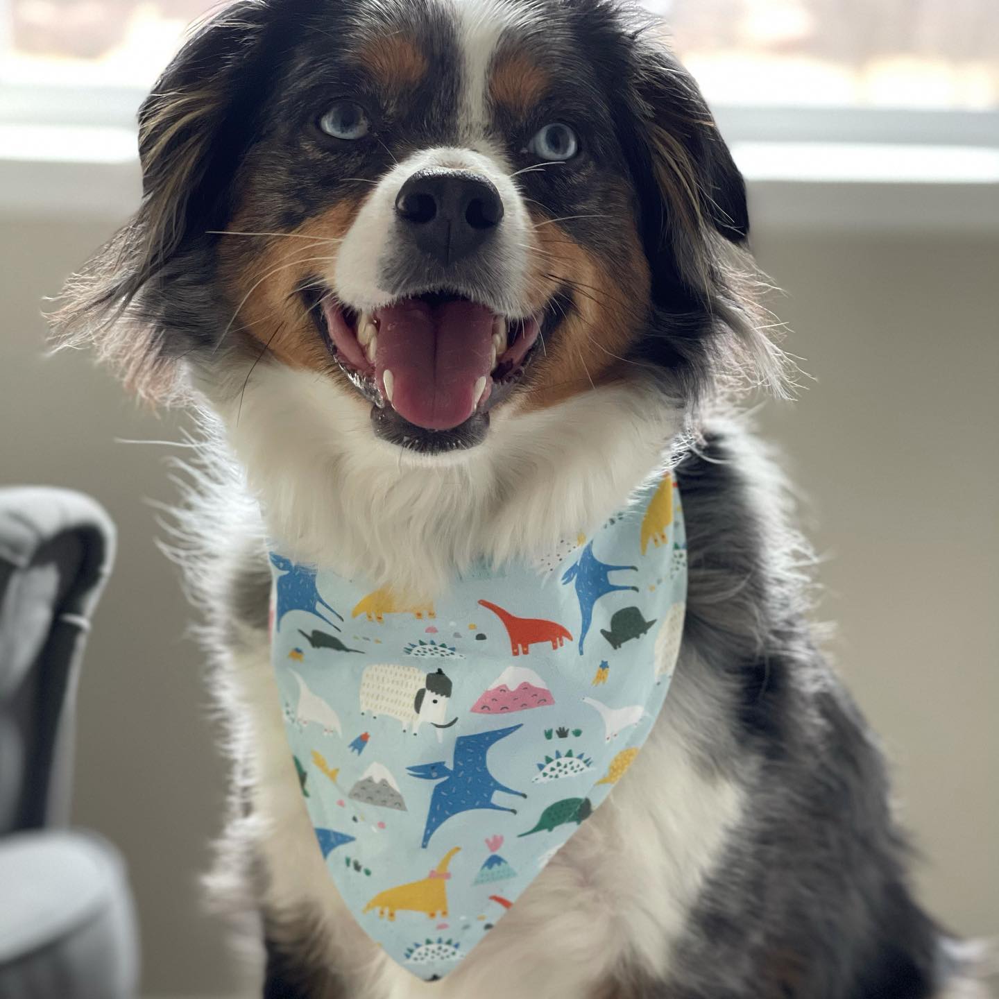 Personalized Blue Dinosaurs Dog Bandana