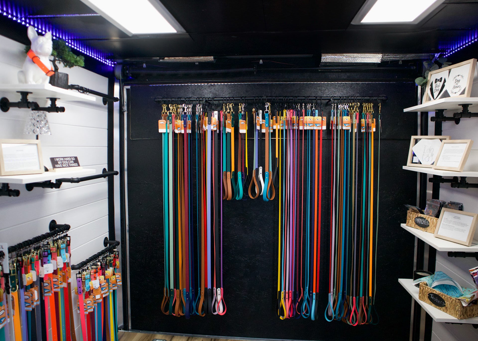 Colorful dog leashes hanging on a rack in a store setting.