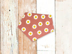 Personalized Desert Daisies Dog Bandana