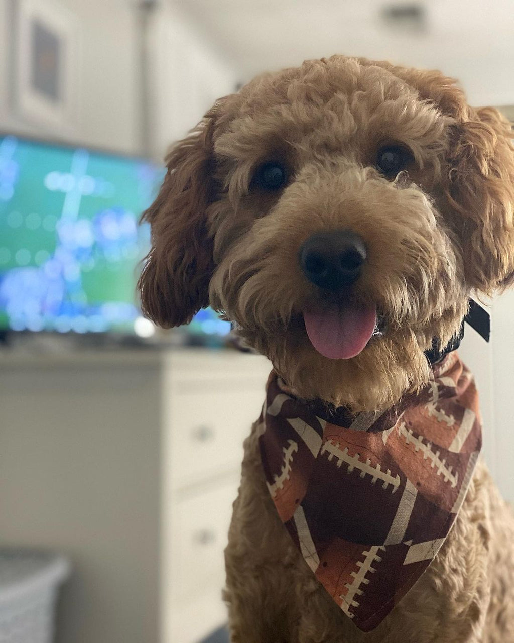 Personalized Football Dog Bandana