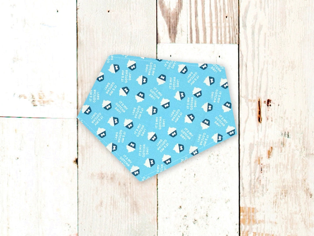 Personalized Gotcha Day Cupcakes Blue Dog Bandana
