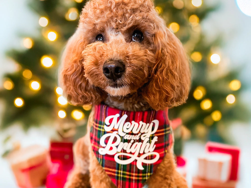 Merry and Bright Dog Bandana