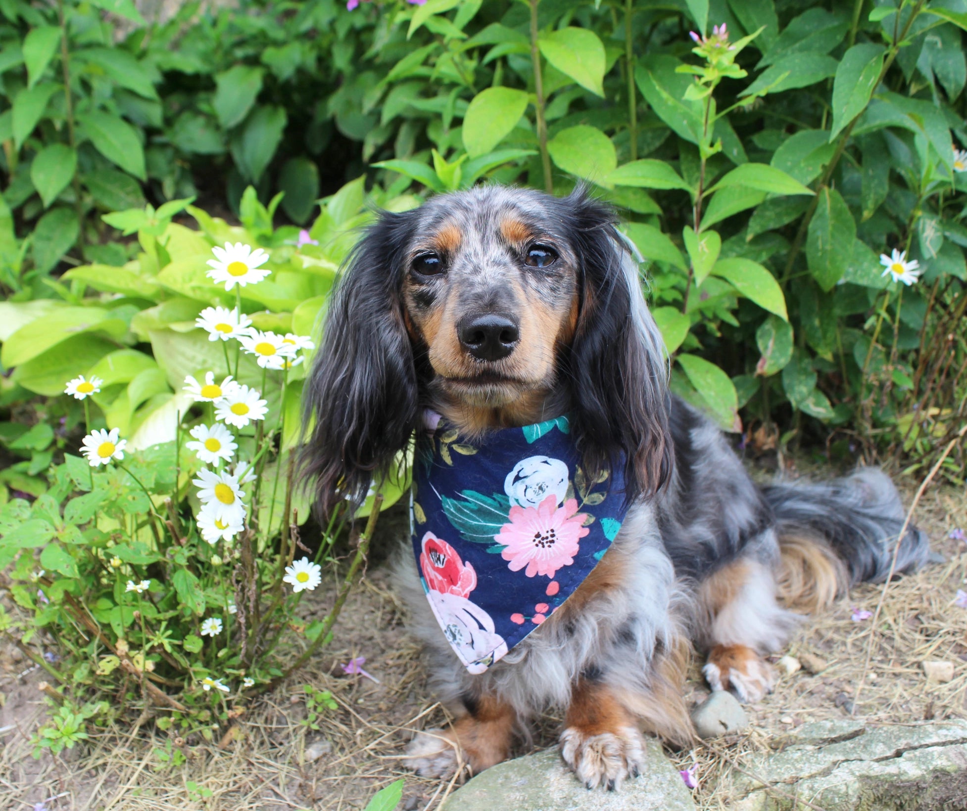Personalized Navy Floral Dog Bandana