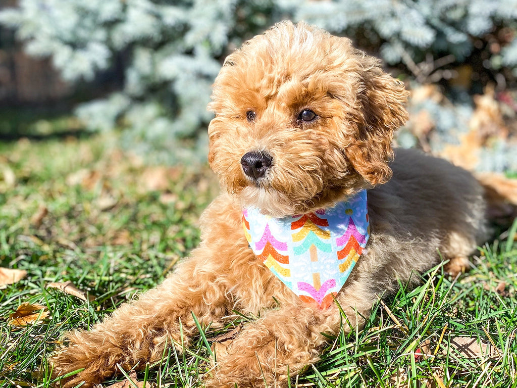 Tinsel Trees Dog Bandana