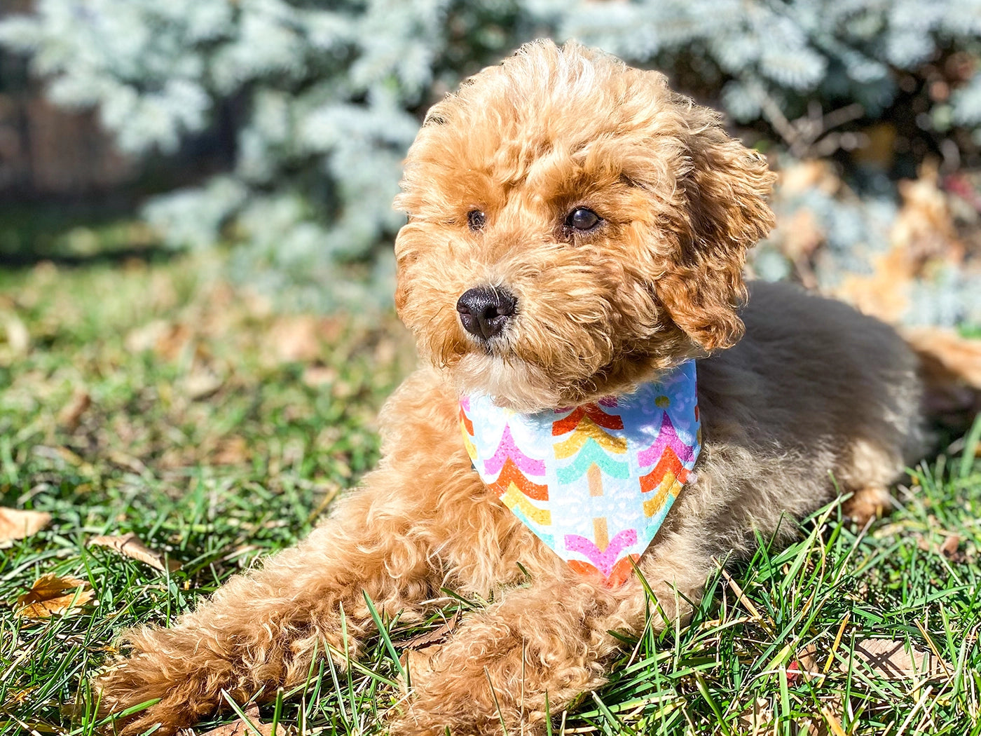 Tinsel Trees Dog Bandana